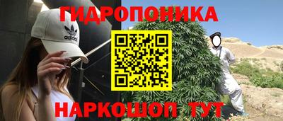 дживик Донской